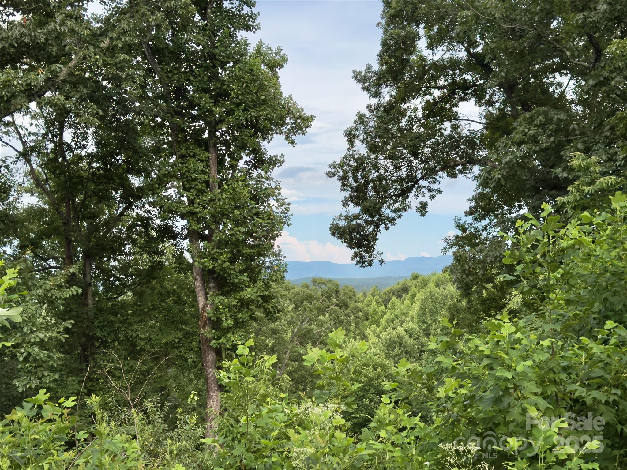 Forest Heights - Land