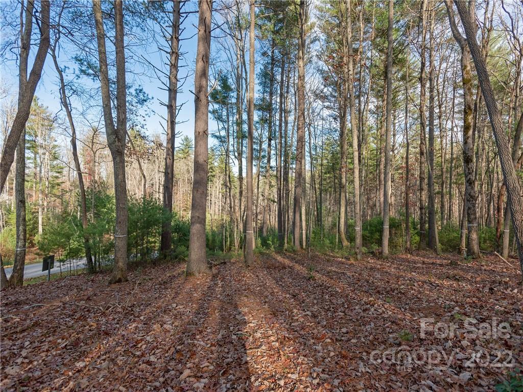 Ramble Biltmore Forest - Land