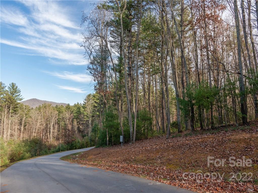 Ramble Biltmore Forest - Land