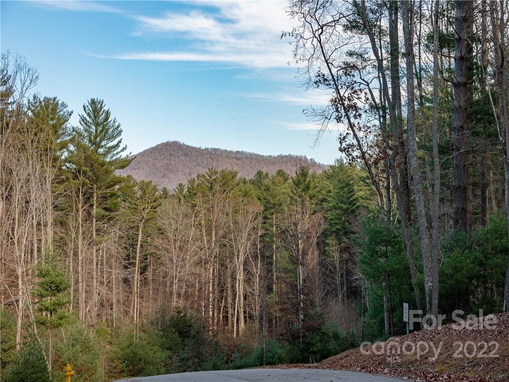 Ramble Biltmore Forest - Land