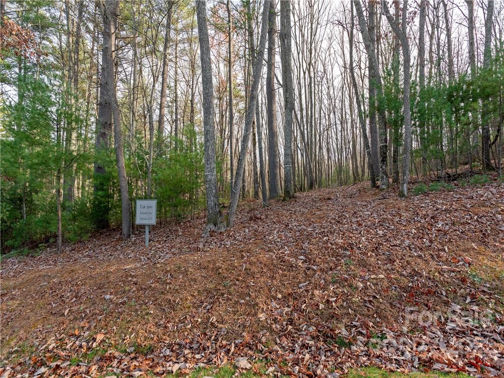 Ramble Biltmore Forest - Land