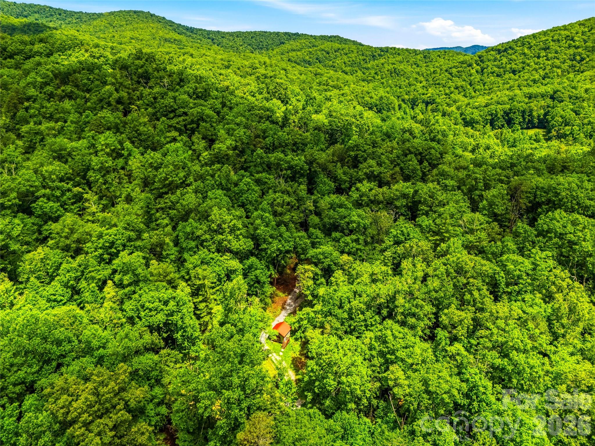 45 Watagnee Trail, Horse Shoe, NC, 28742