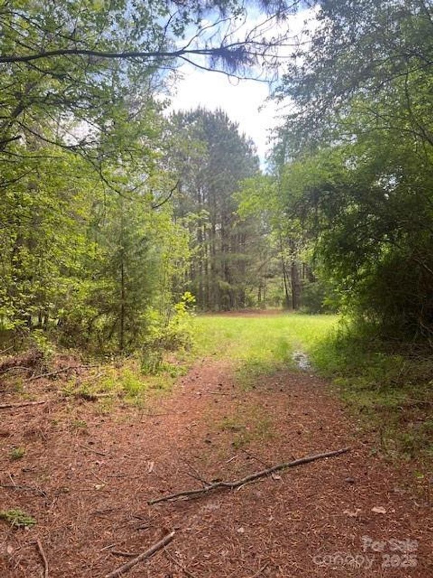 Hunter's Paradise.....Deer, Quail, Turkey. There is a small lake/pond that could be teeming with fish! Timber estimate is approximately $1400.00 an acre on at least 160 acres. Some timber ready to be cut. If the buyer wants an excellent hunting reserve this could just be the very best one out there! Many hunters have leased this land over the years. If owner wished this tract could be eligible for conservation programs.