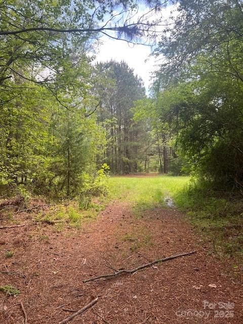 tbd Pleasant Hill Church Road Wadesboro NC 28170