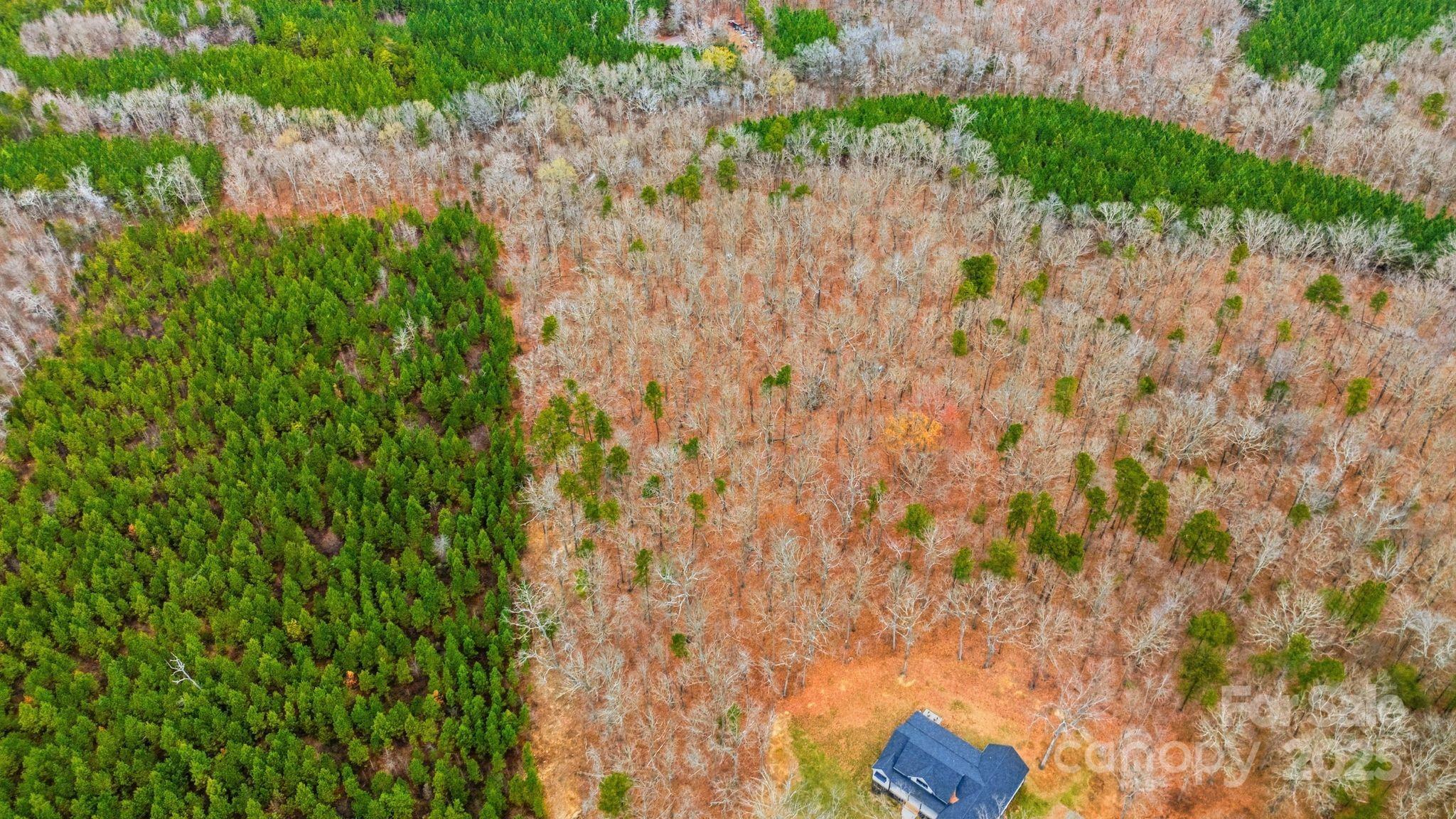 00 Deer Hollow Drive 4