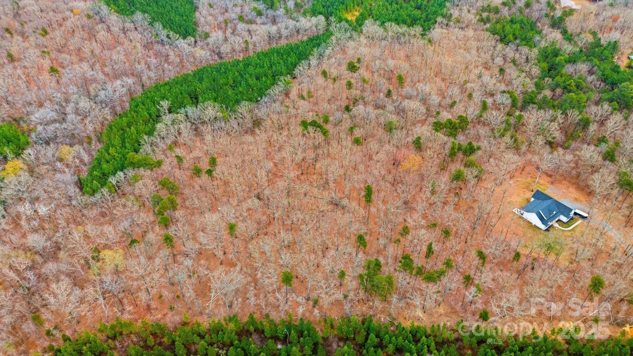 00 Deer Hollow Drive 4