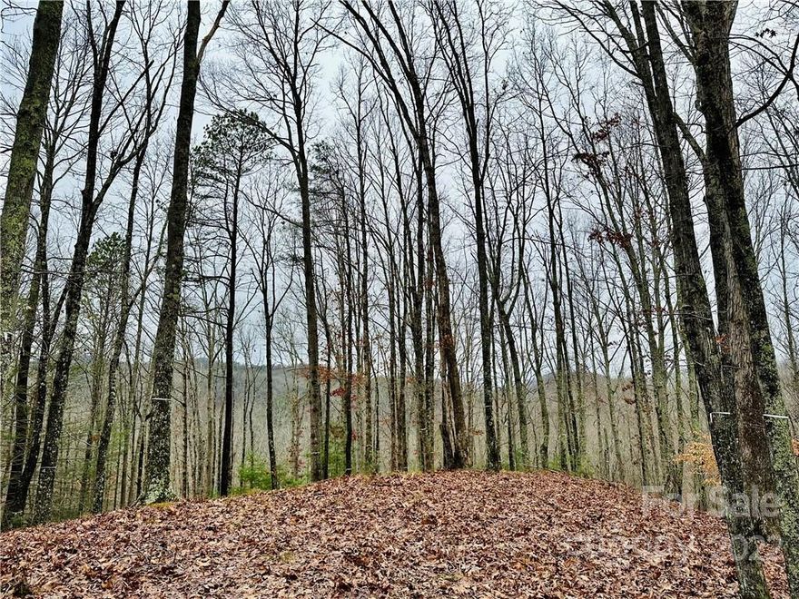 This almost 2-acre homesite is well situated to enjoy beautiful mountain sunsets. The build site lays nicely and there is already a driveway carved out to access the property. If you're looking to build your dream mountain home or vacation getaway, look no further. French Broad Crossing is a gated conservation community with easy access to Asheville and amenities galore! Enjoy the River Lodge, Fitness Center, Pool, River Park, Treehouse, and miles of walking/ATV trails! Relax and watch the sunset from your home or the River Lodge, gather with family and friends by the fire, or just absorb nature on the trails. This is THE place to check out of the daily hustle and bustle and take a deep breath! Fiber Optic cable has also been wired throughout the community. FBC has a designated medical helicopter landing zone.