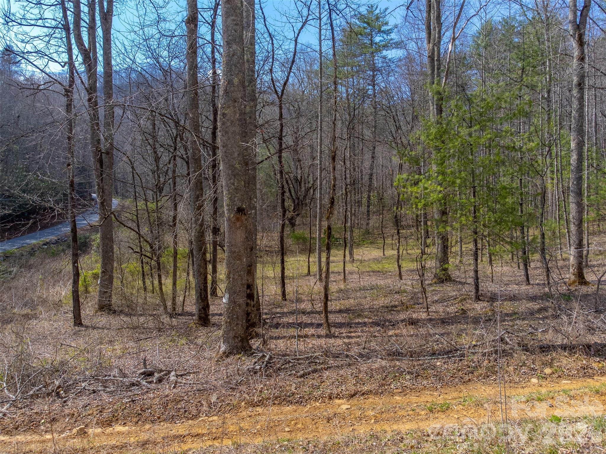 47.52 ac Little Snowbird Road