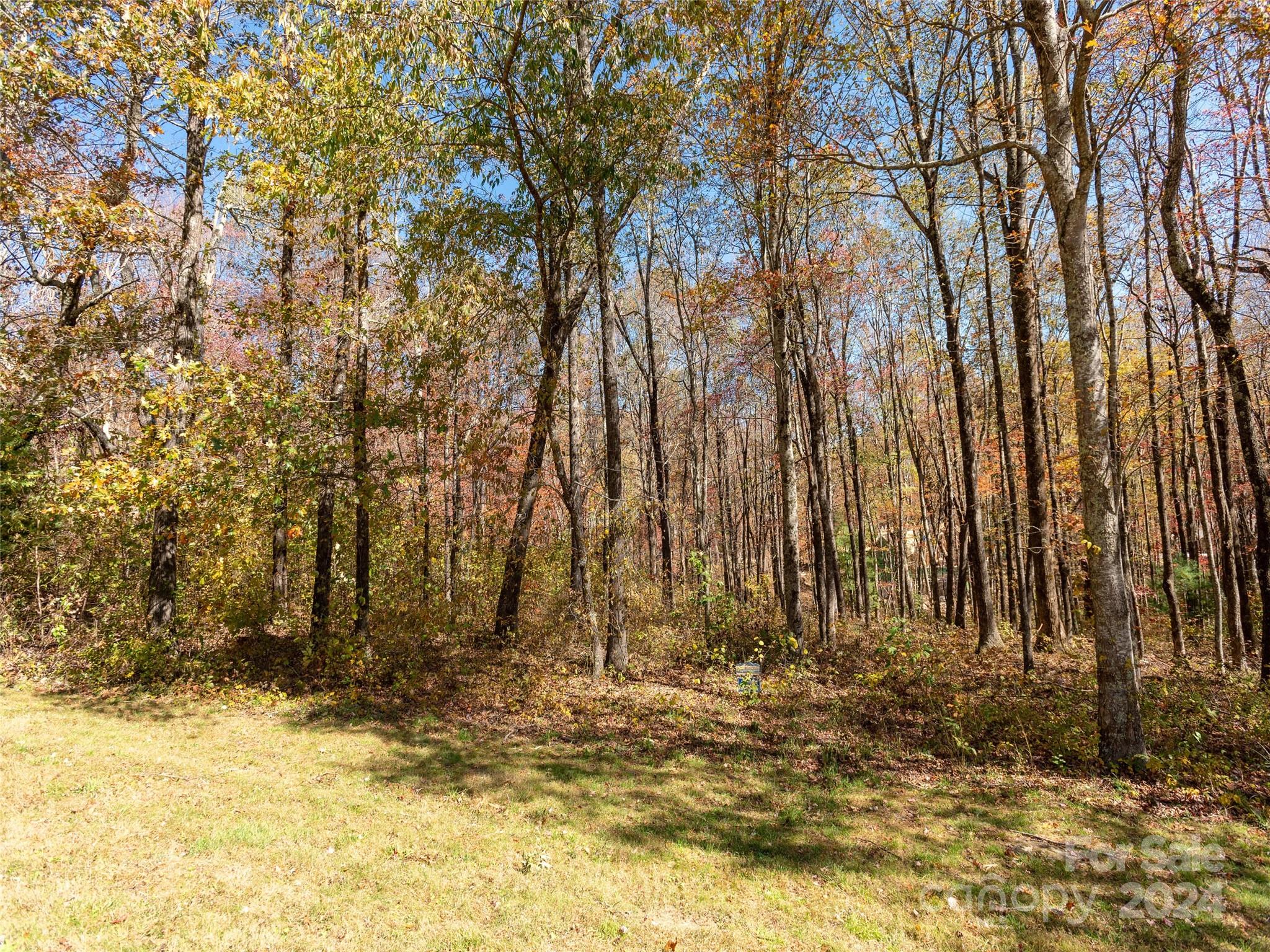 Grand Highlands at Bearwallow - Land