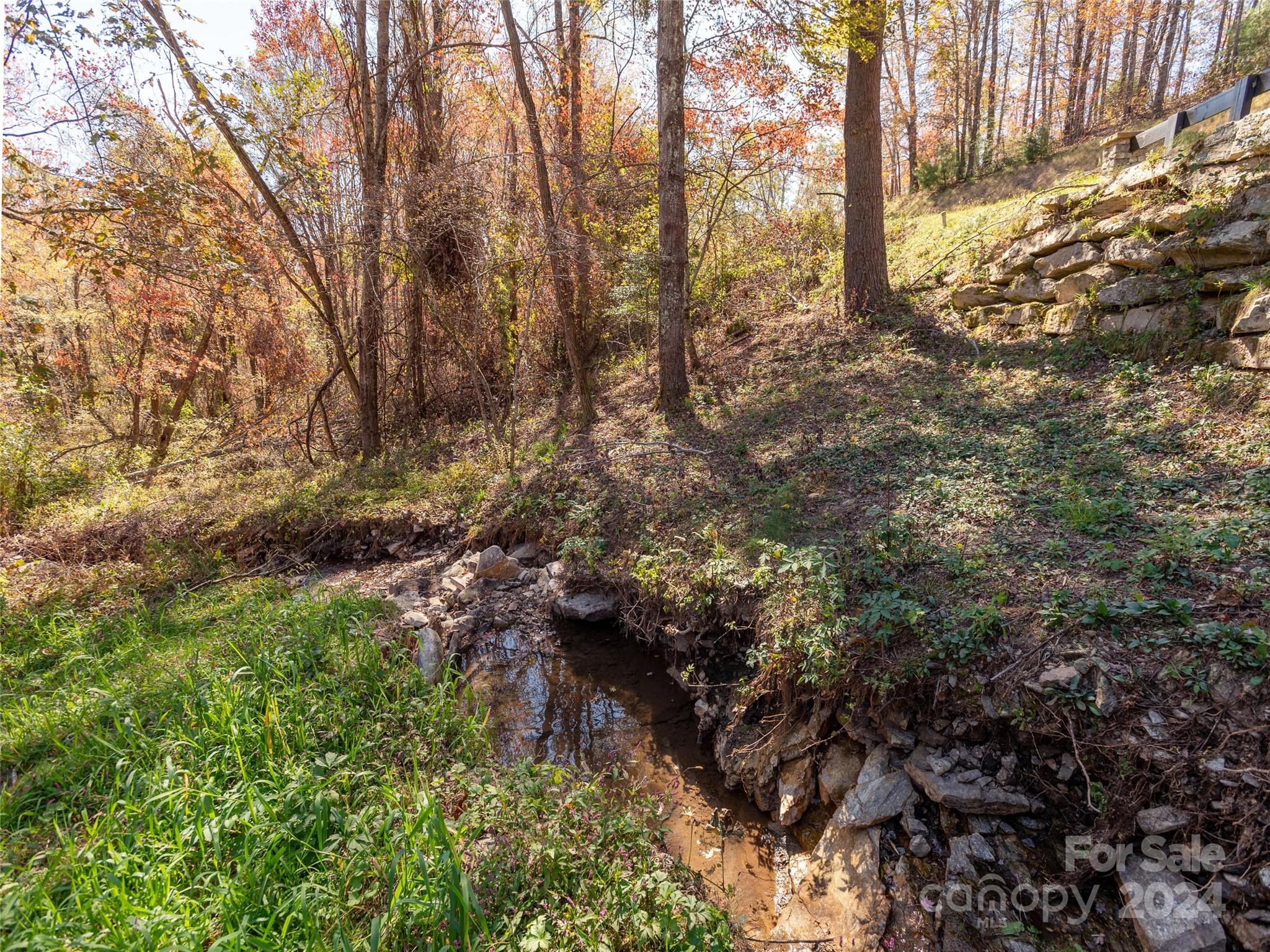 Grand Highlands at Bearwallow - Land