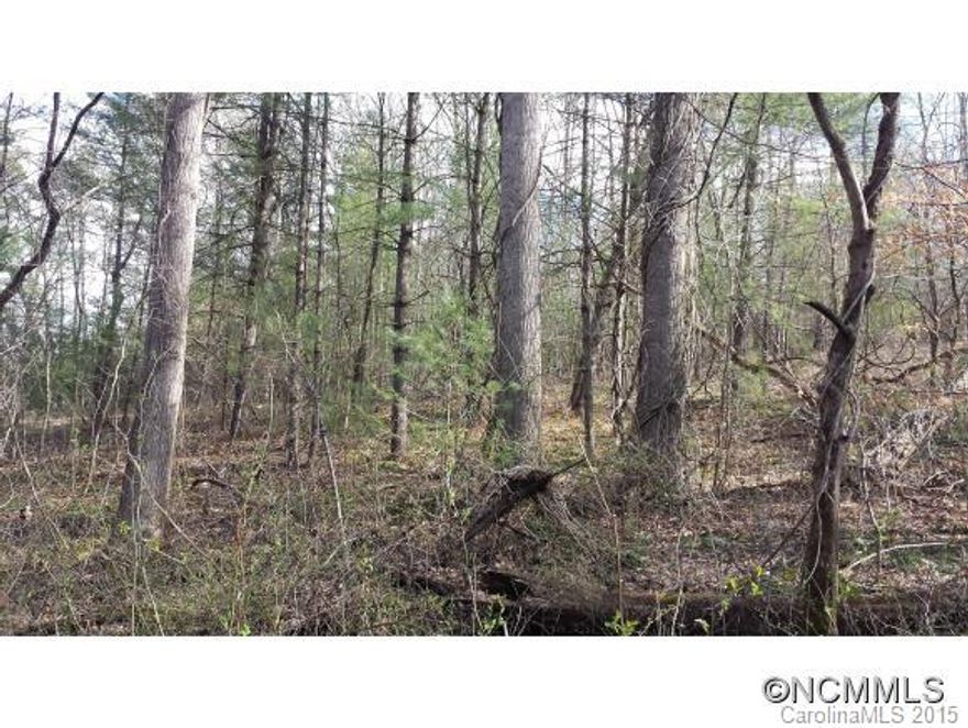 Beautiful wooded building lot in a great location in Fairview. Level to rolling property. Quaint stream and lots of mountain laurels and rhododendrons. Private and serene property in an area of nice homes.