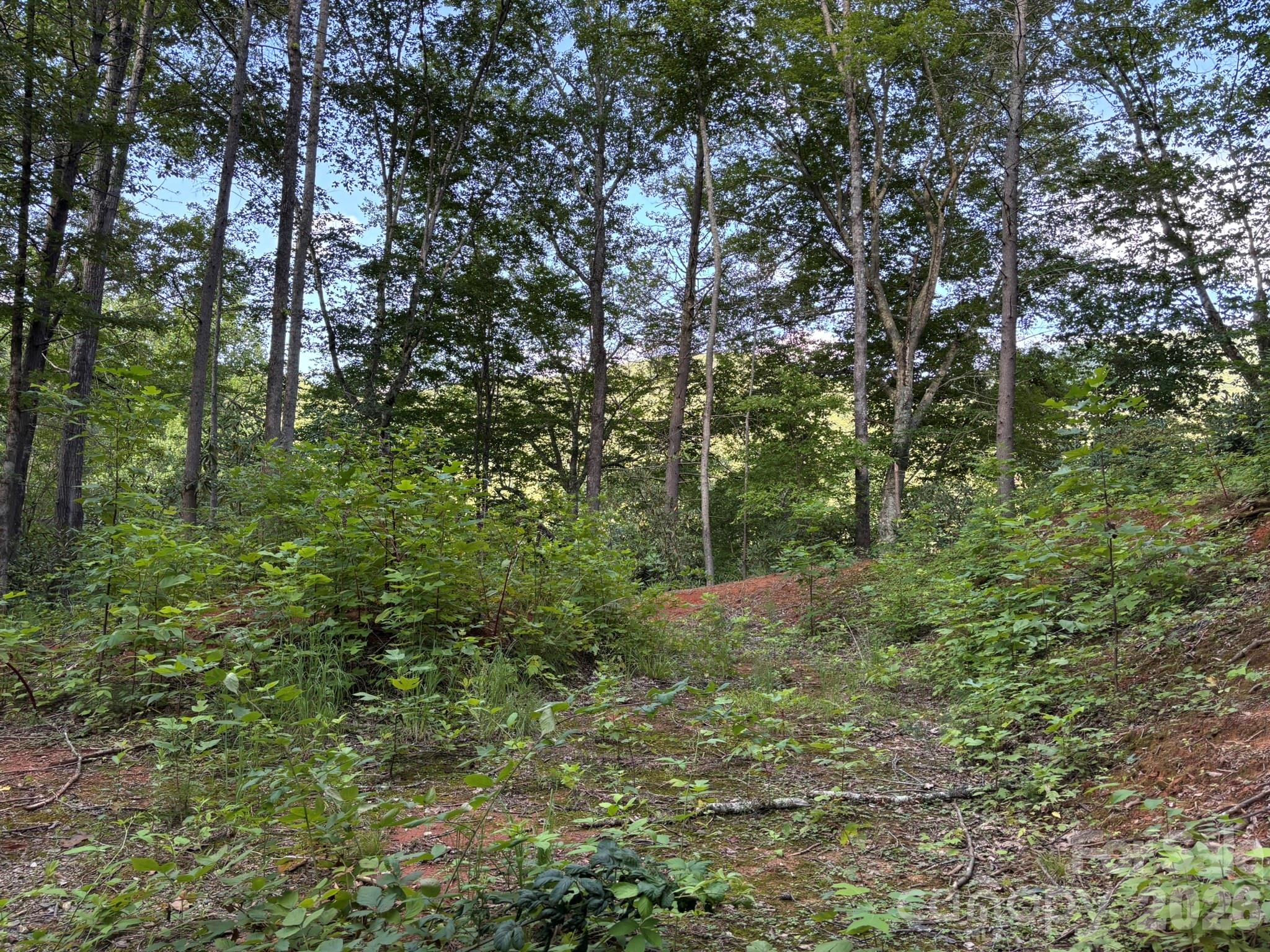 Lot 41 Peace Wood Lane 41