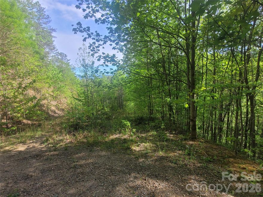 Bring your mountain vision to life on Lot 53 Wolverine Court in The Willows, a gated Waynesville community known for its peaceful setting and natural beauty. Tucked away at the end of Wolverine Court, this 2.63-acre parcel offers the added appeal of an end-of-road location, creating a quieter, more private setting with limited drive-by traffic.

The property features a previously graded area that suggests a potential homesite option that helps buyers better imagine how the land could be used. With selective tree trimming, long-range mountain views may be possible, and the seller has retained certain trimming rights on an adjoining lot. Underground electrical utilities are available within the community, adding to the appeal for future planning.

Additional site work will be needed, including tree removal and grading to improve driveway access and further prepare the site, but the roughed-in home pad provides a valuable head start. If you have been searching for a mountain homesite with privacy, gated access, and room to design a home that fits the land, this property is worth walking in person.

Conveniently located near Waynesville, Maggie Valley, hiking, dining, shopping, and year-round mountain recreation.