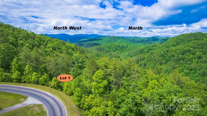 PRICE CUT! Buy Now at bargain price and Build Later!  New developer - New improvements!  Escape sweltering heat! Big 3.22 acre lot in premier mountain resort club close to Blowing Rock, Boone. Mountain views, long paved road frontage, underground utilities available including sewer, water, fiber optics, electric. Close to Blue Ridge Mountain Club's new resort center #2 at The Meadows - easy, short trip by car or your UTV to outdoor pool-splash gardens, courtyard with firepit, pickleball courts. Amenity Center #1 has spa, fitness center, fitness classes, relaxation lounge, cafe, courtyard, firepit, Lookout Grill. Build lifetime of family adventures in BRMC's 6200 acres amidst amazing wilderness beauty. Miles of trails, trout streams. Ride your UTV or hike many trails. Superior infrastructure: paved streets, underground utilities includes water, sewer, electric, fiber optic data lines HDTV/phone/broadband internet, guard house gated entrance, new fire station. Two entrances: from Blowing Rock, Boone or by I-40 corridor/421.