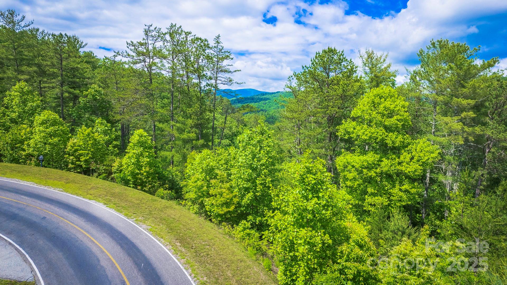 Blue Ridge Mountain Club - Land