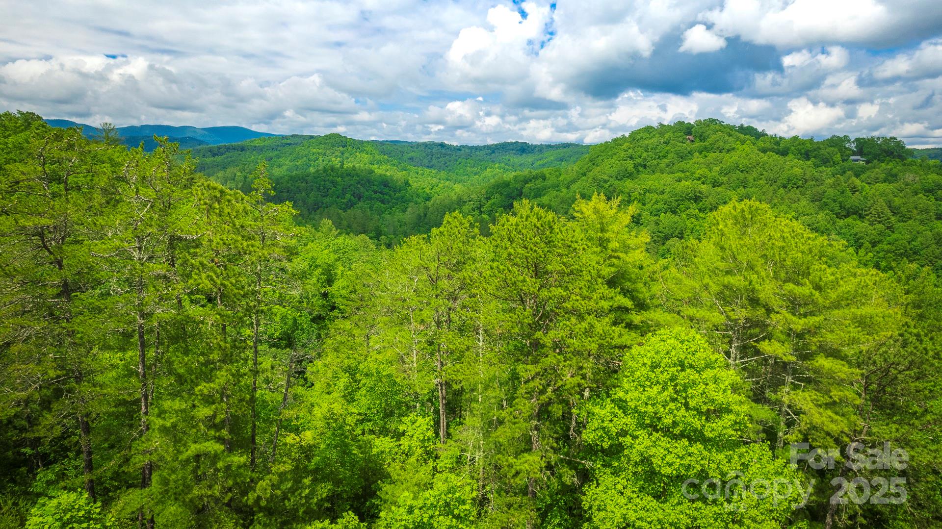 Lot 1 Reynolds Parkway