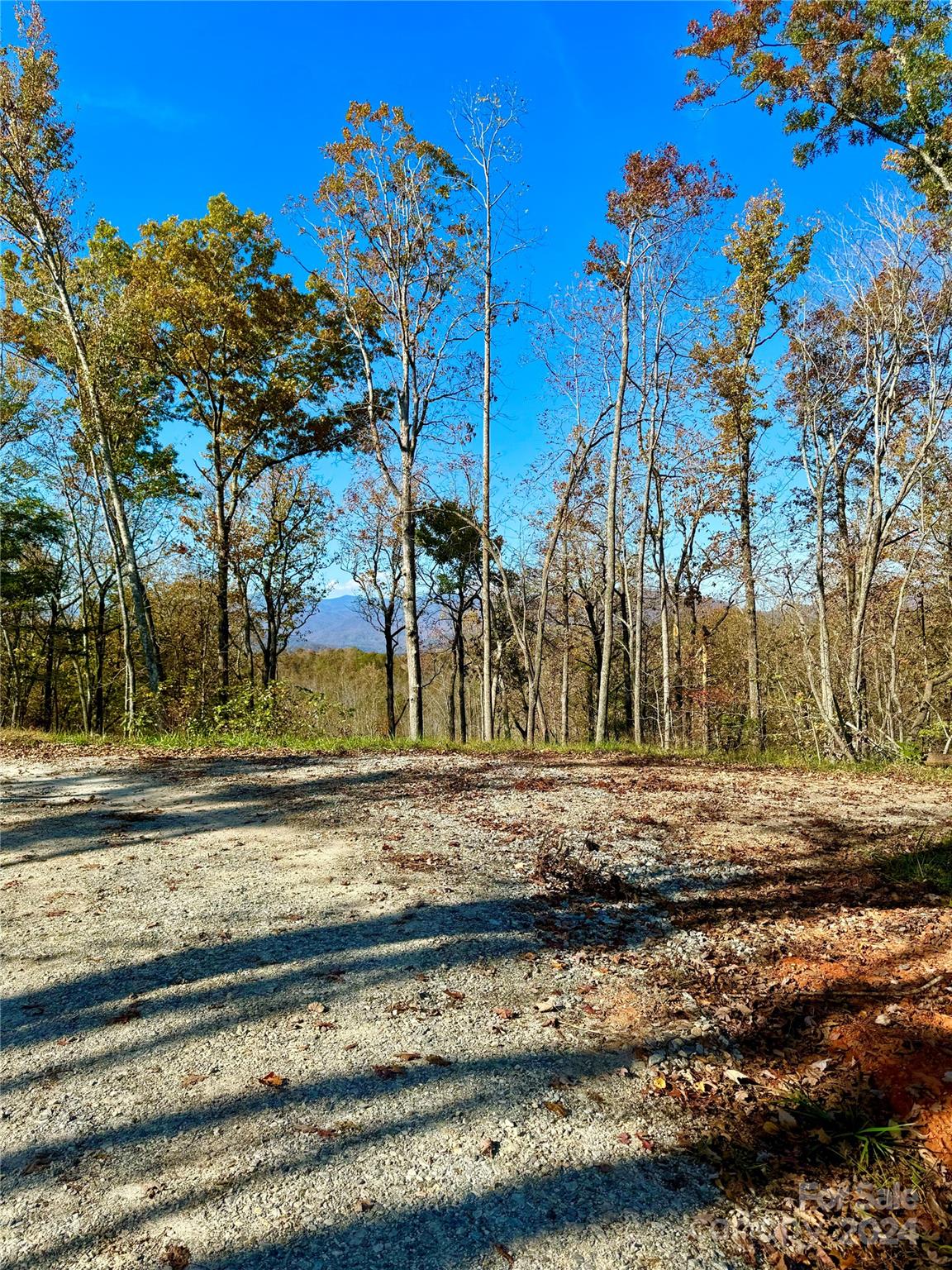 19 Warren Ridge Drive 1