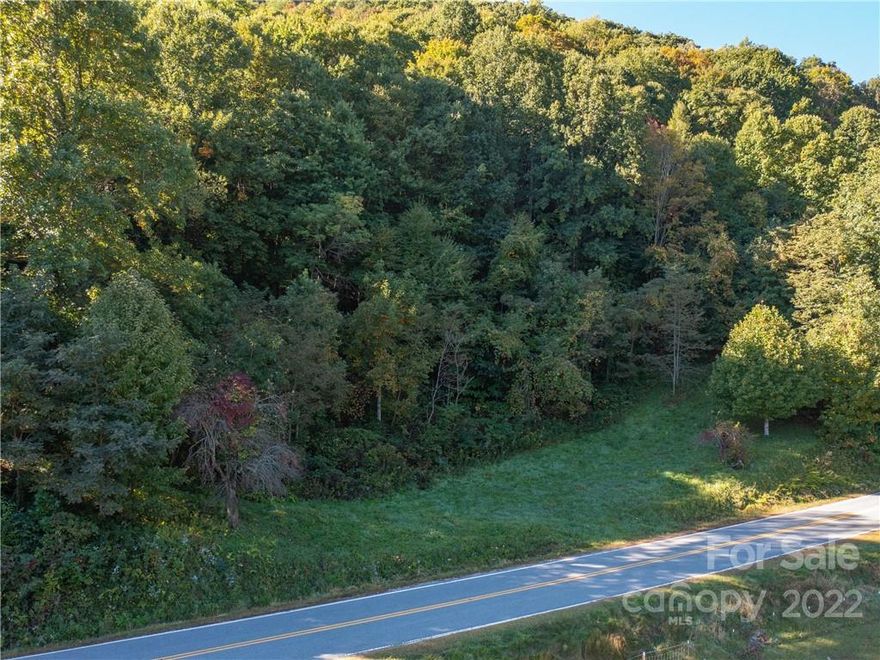 **MOTIVATED SELLER** Halfway between Asheville and the quaint town of Burnsville sits this (approximate) 40 acre tract right off a State Maintained Road with two potential driveway sites and two home sites. Relax in the peaceful setting with minimal neighbors while enjoying the perks of living off a State Maintained Road. Property is less than 10 miles from hiking trails in Pisgah National Forest, waterfalls, swimming holes, and trout-filled rivers and would make the perfect second home getaway or primary residence for those looking to escape the city life. Property like this is hard to find - bring your offer, it won't last long!