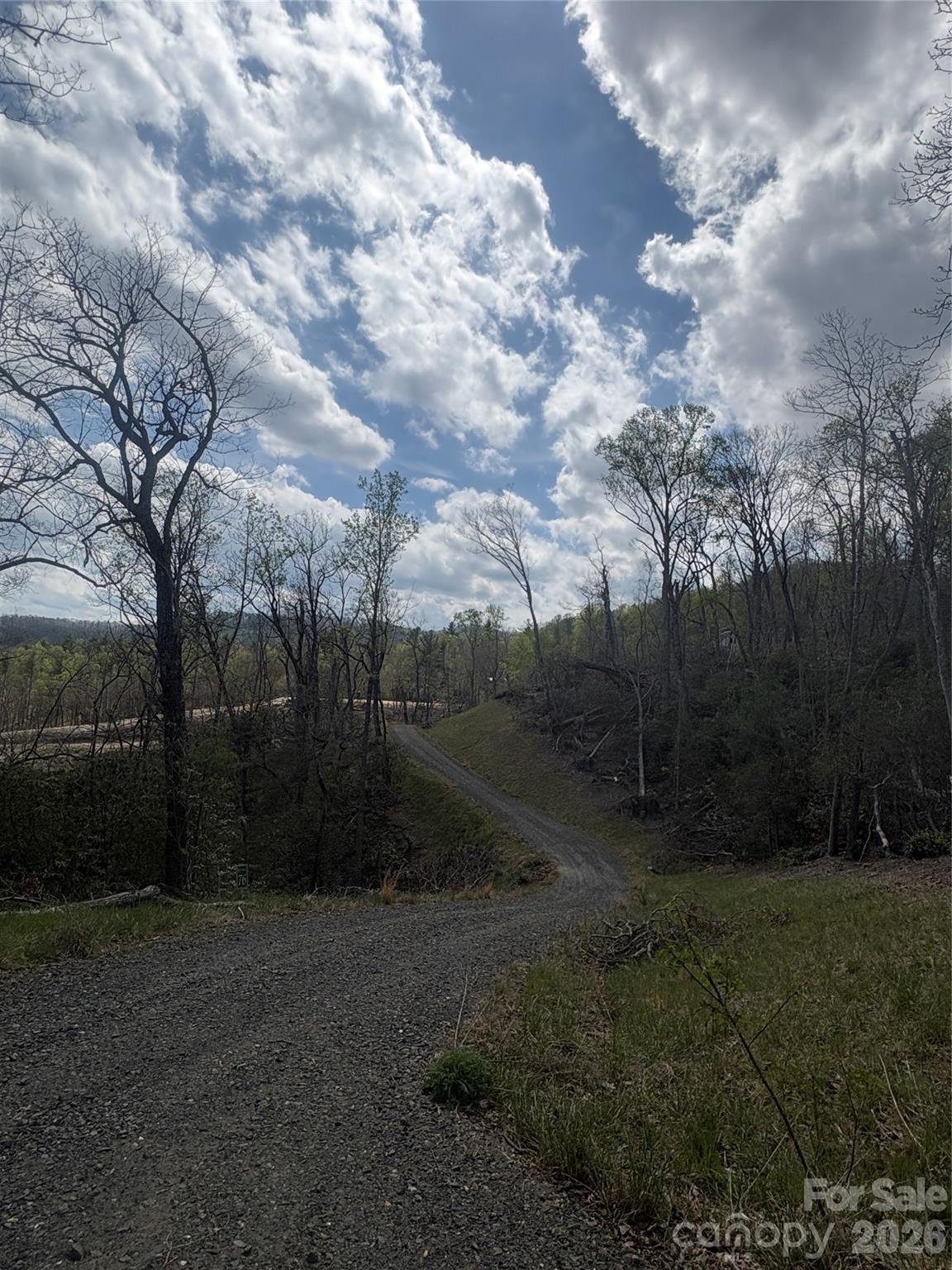 TBD Swiss Pine Lake Drive 117