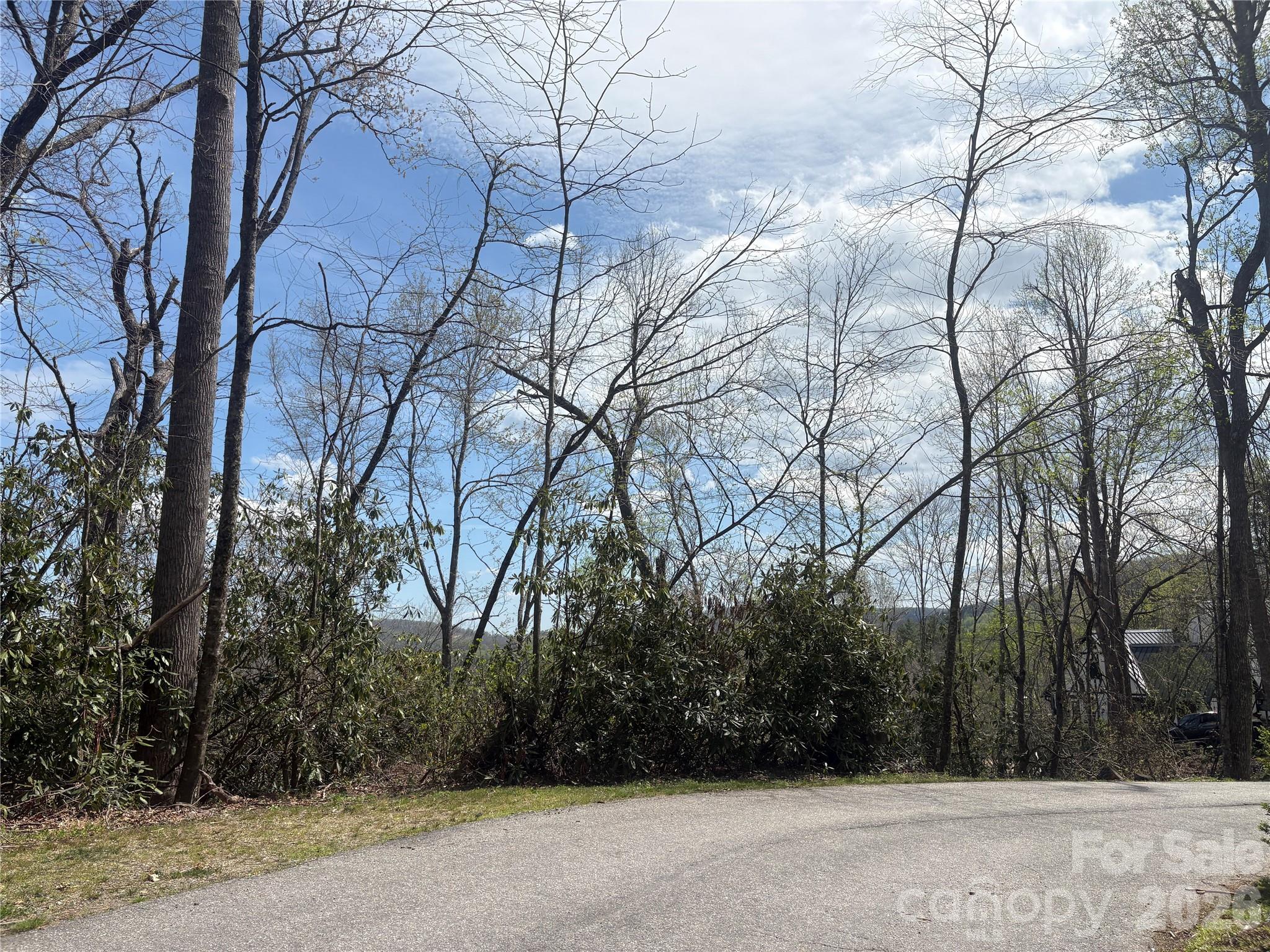 TBD Swiss Pine Lake Drive 117