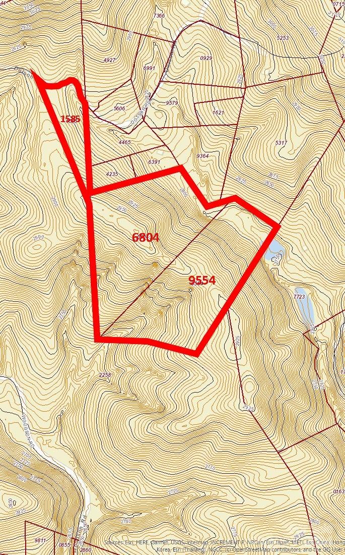 99999 Dotson Road