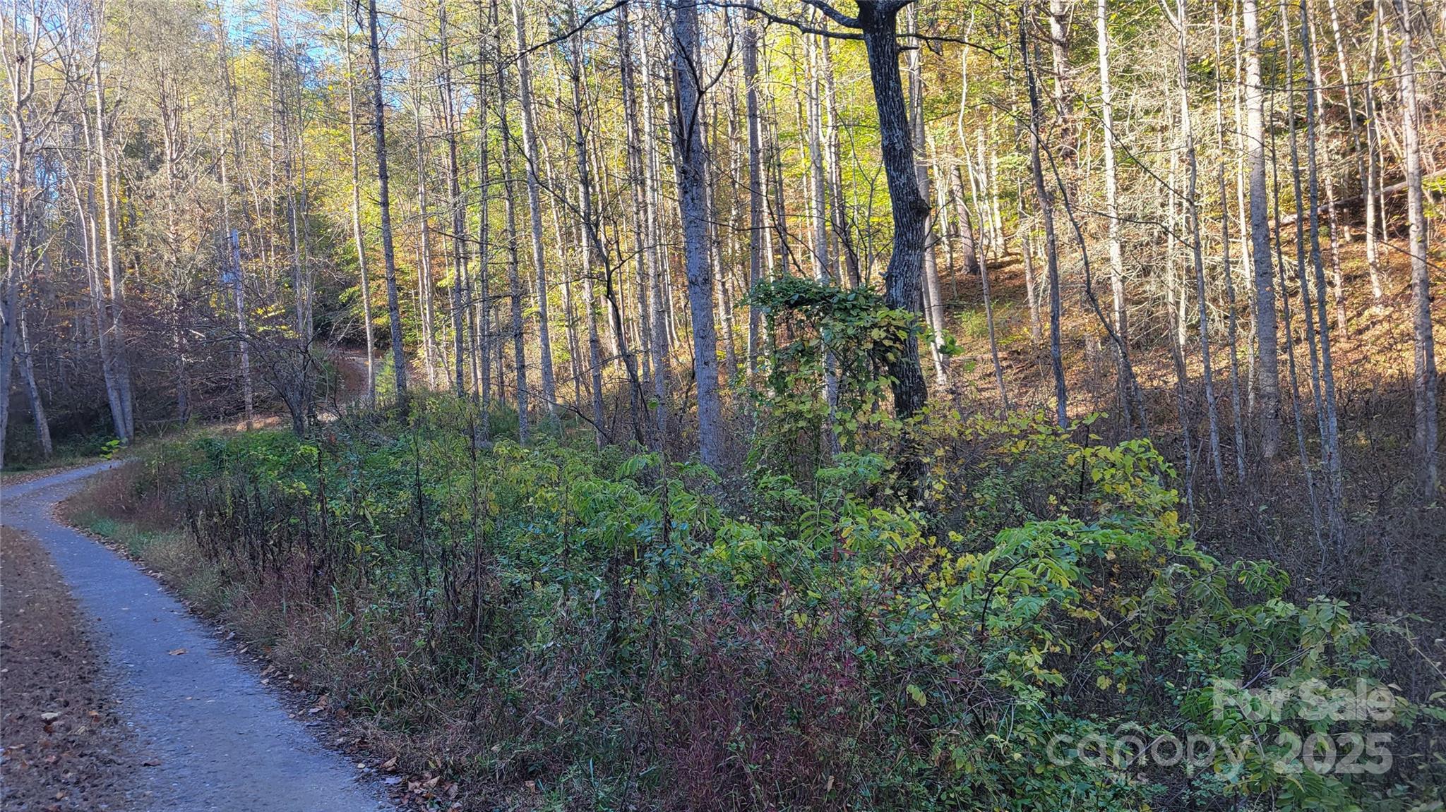 Clearmont Estates - Land