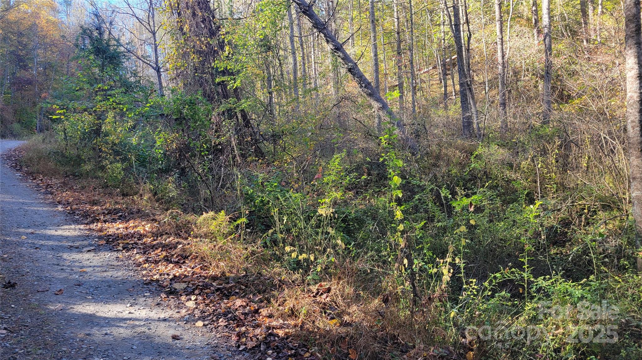 Clearmont Estates - Land