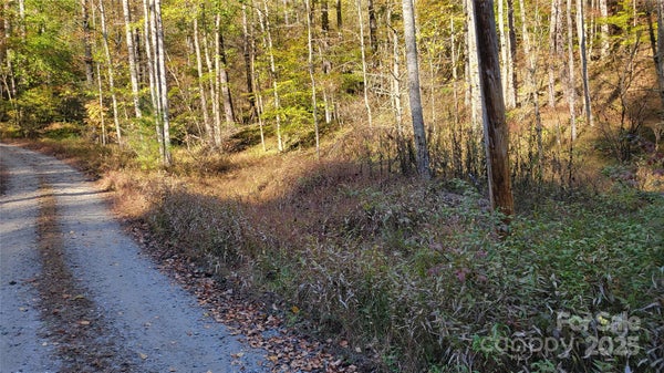 31 CABIN HILL RD, GREEN MOUNTAIN, NC 28740 - Image ec8ed202fdb3fbda38599f96ca7df6ef/3459769707