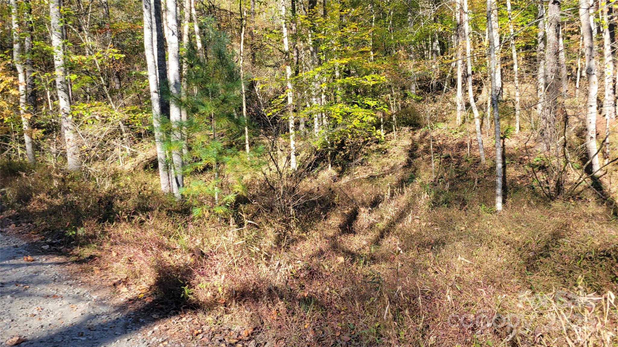 Clearmont Estates - Land