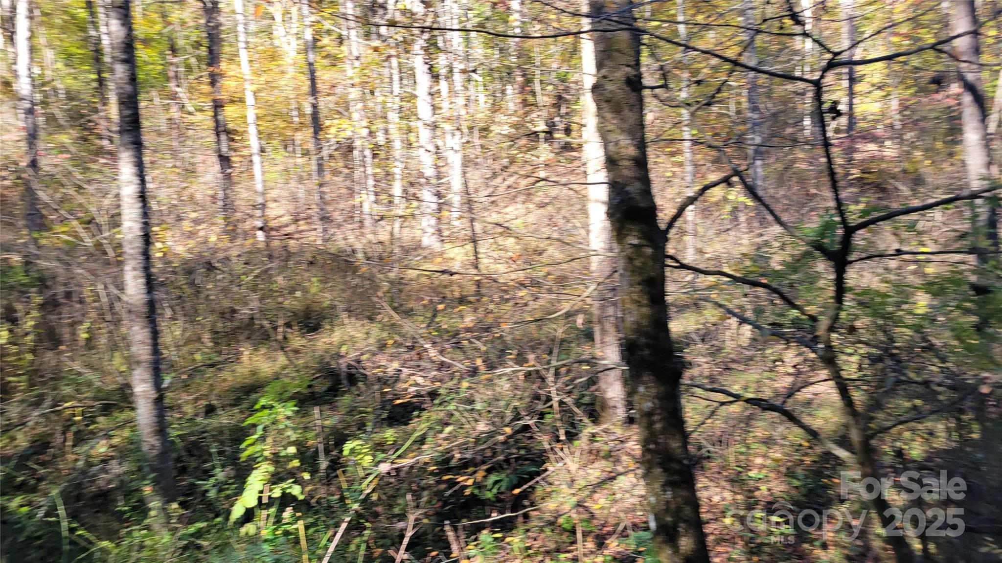 Clearmont Estates - Land