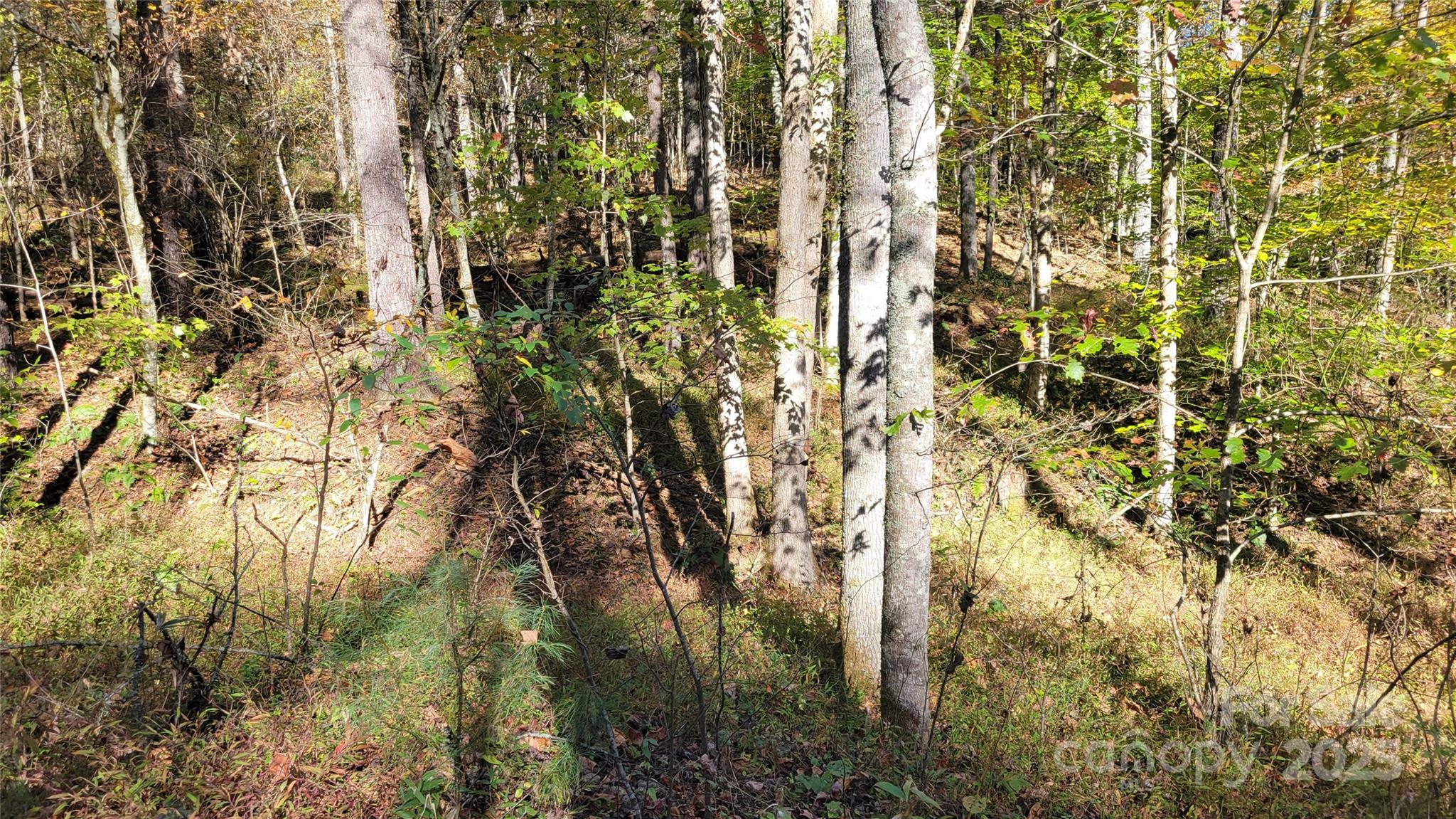 Clearmont Estates - Land