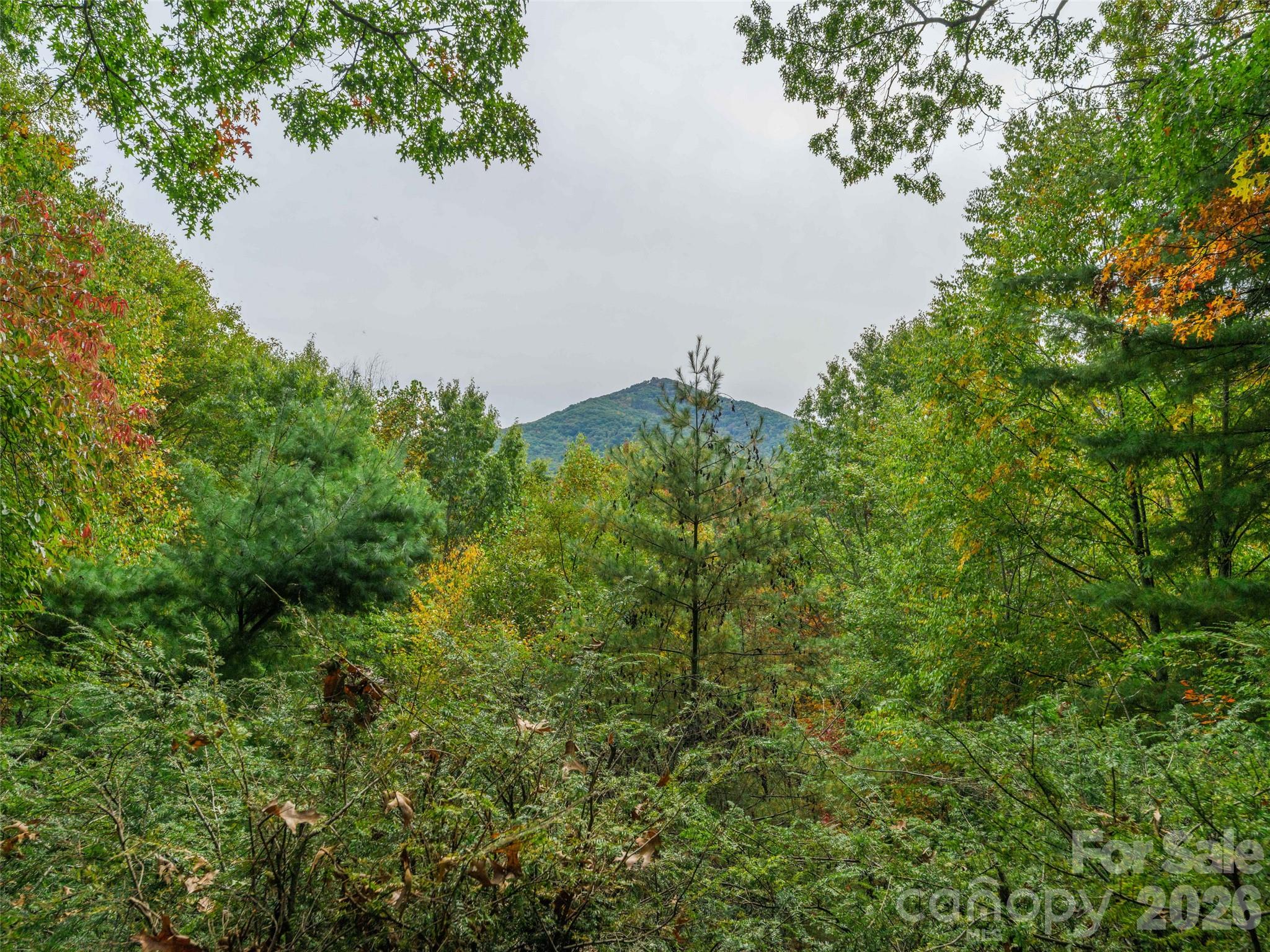 250 Creekside Drive