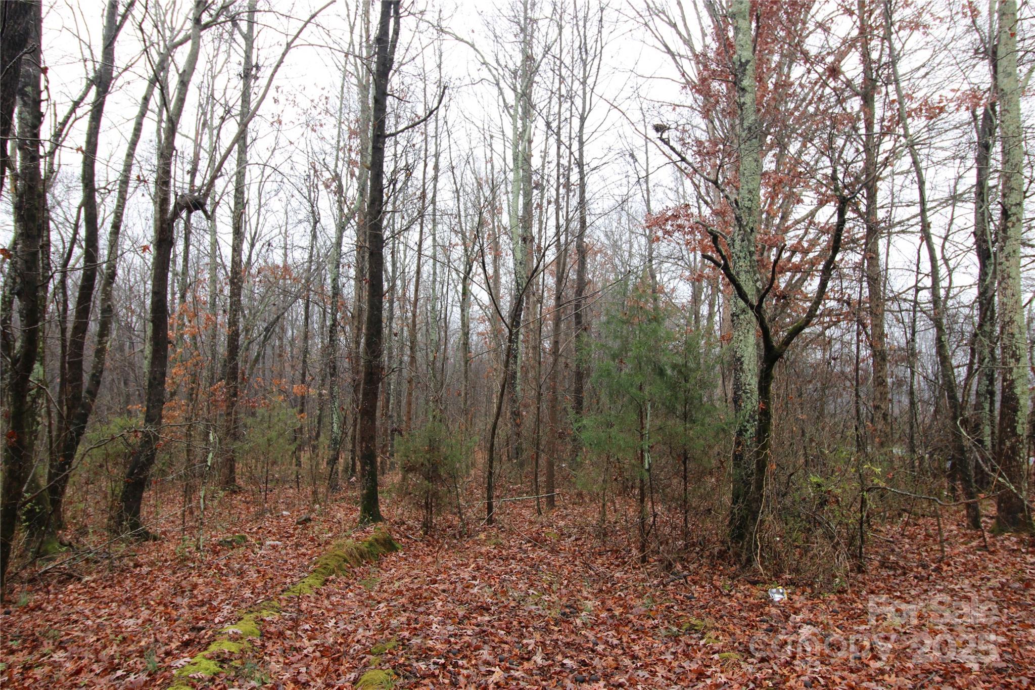 LOT O 6+/-AC Eaker Road