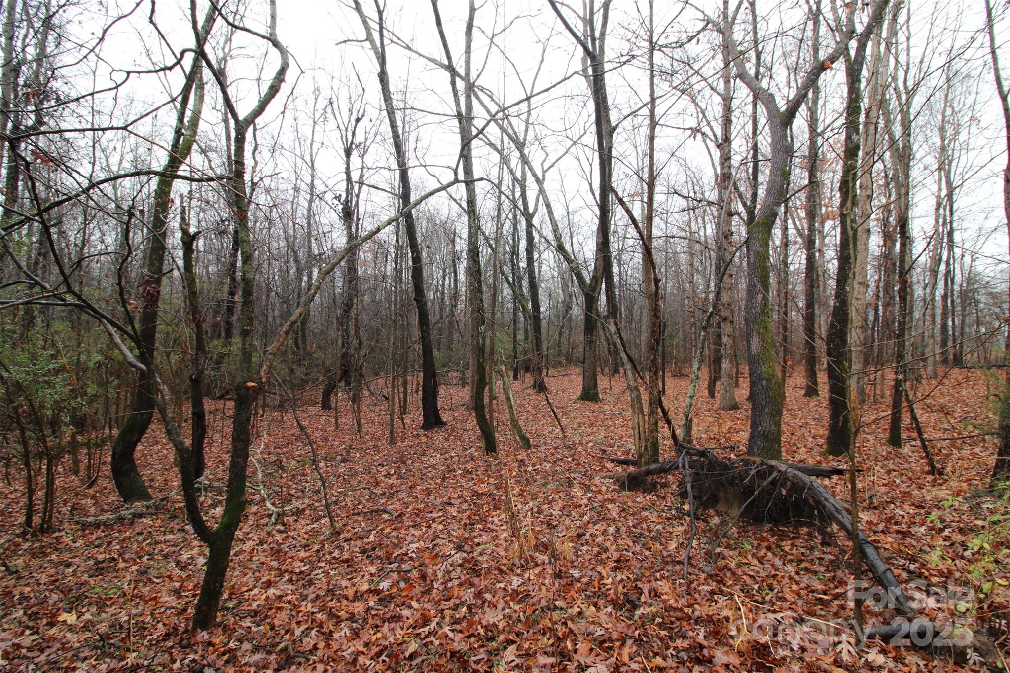 LOT O 6+/-AC Eaker Road