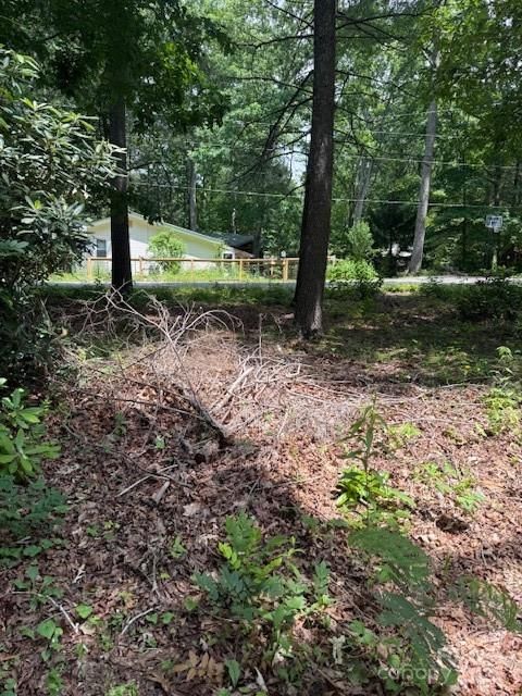 99999 Laurel Lane 2 Black Mountain NC 28711