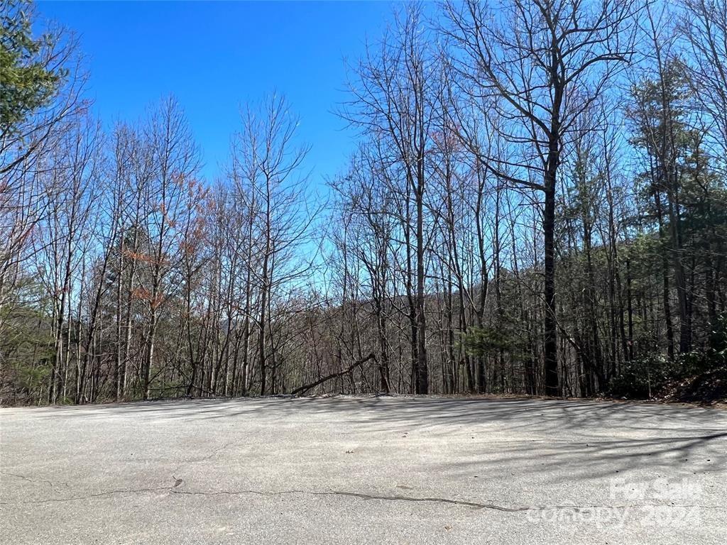 Catawba Falls Preserve - Land