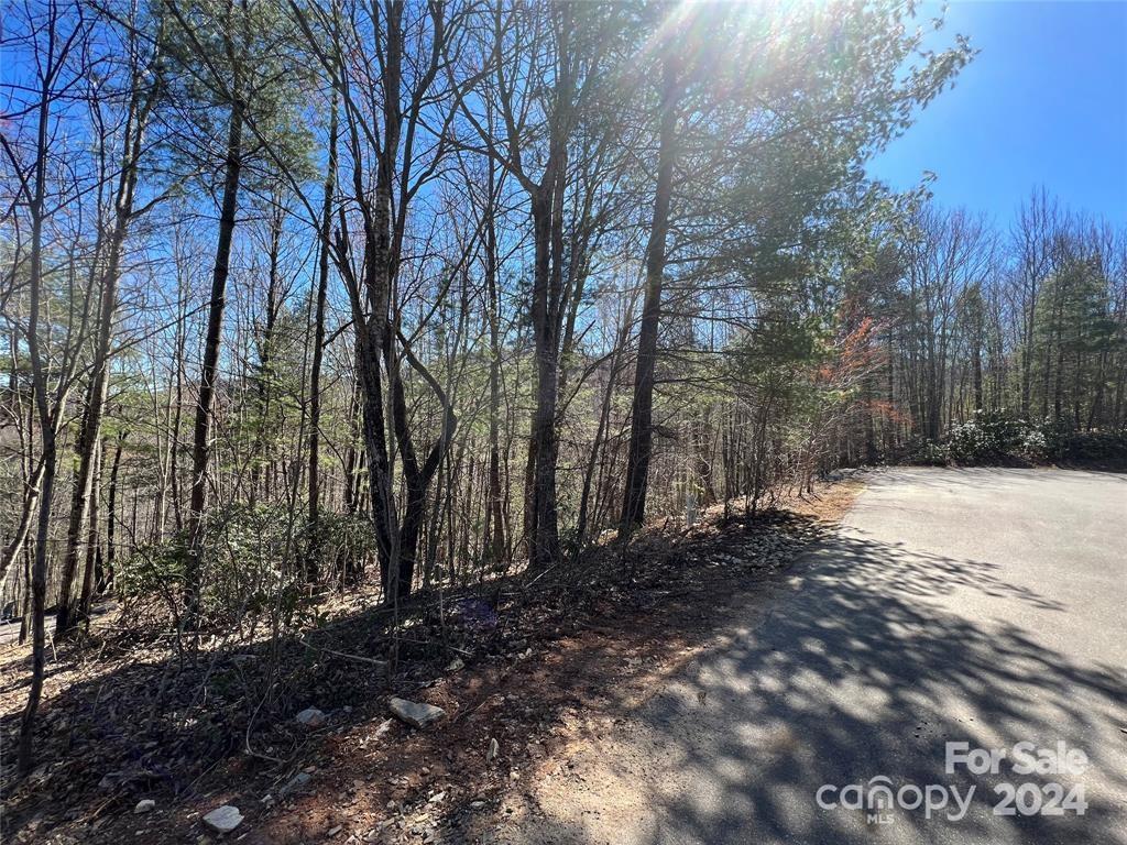 Catawba Falls Preserve - Land