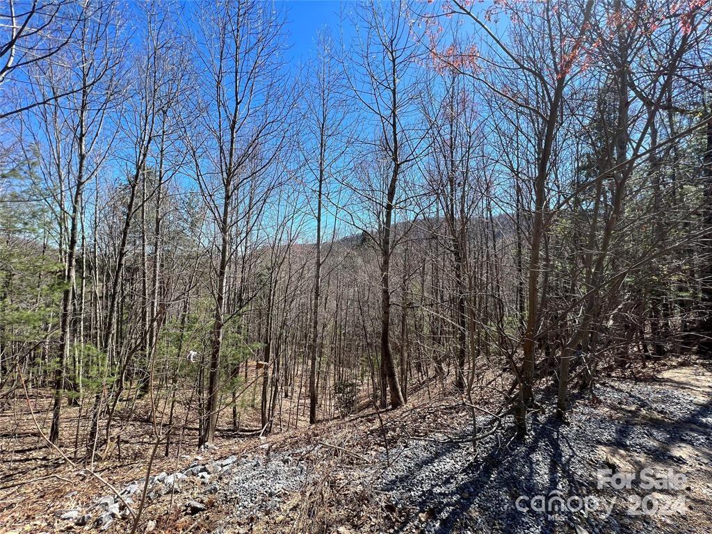 Catawba Falls Preserve - Land