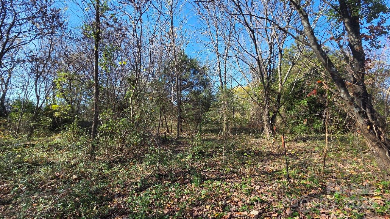 00000 Reepsville Road