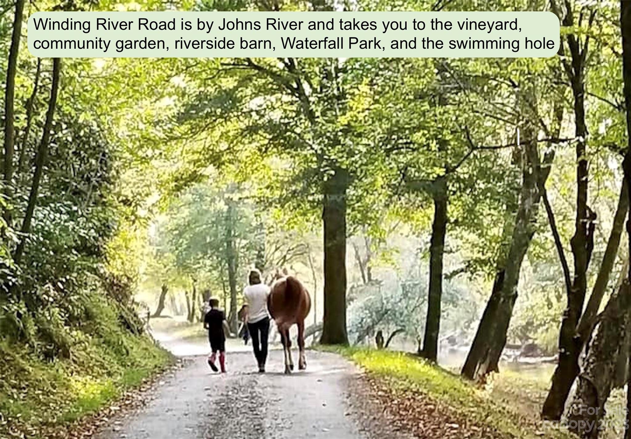 The Coves Mountain River Club - Land