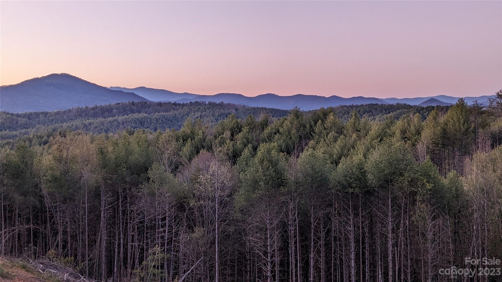 The Coves Mountain River Club - Land