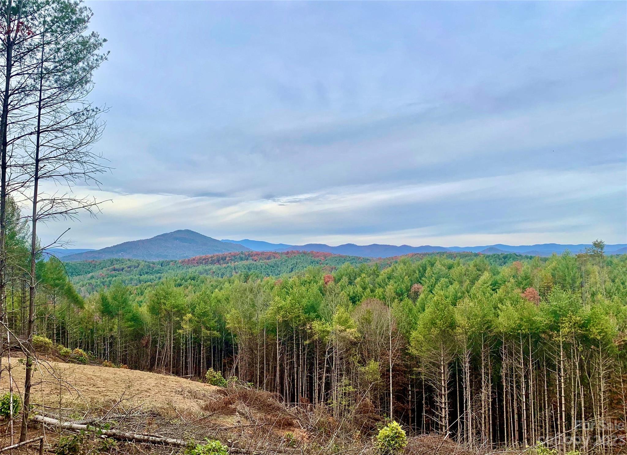 The Coves Mountain River Club - Land