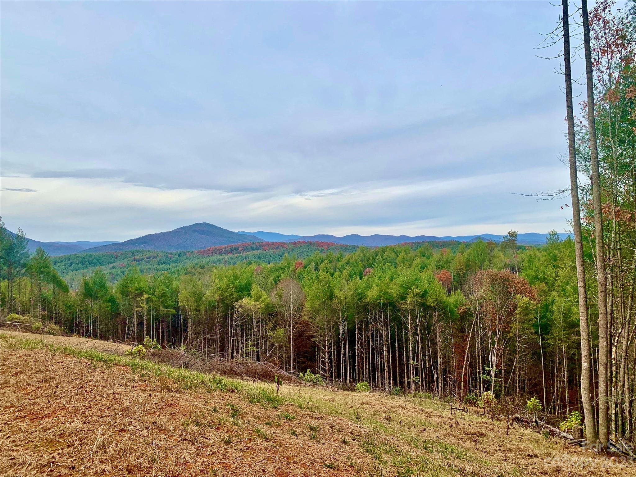 The Coves Mountain River Club - Land