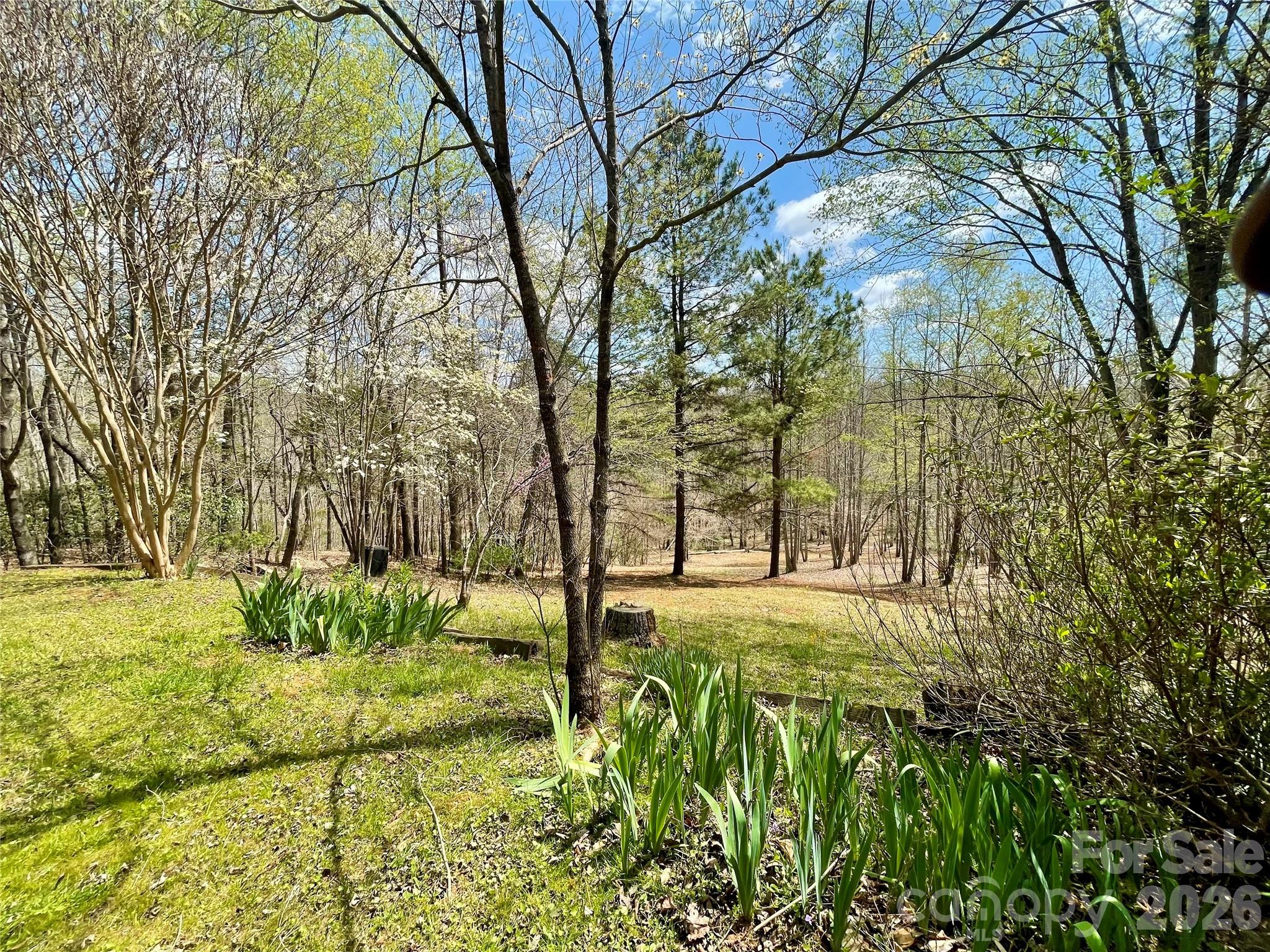 Clearwater Creek - Residential