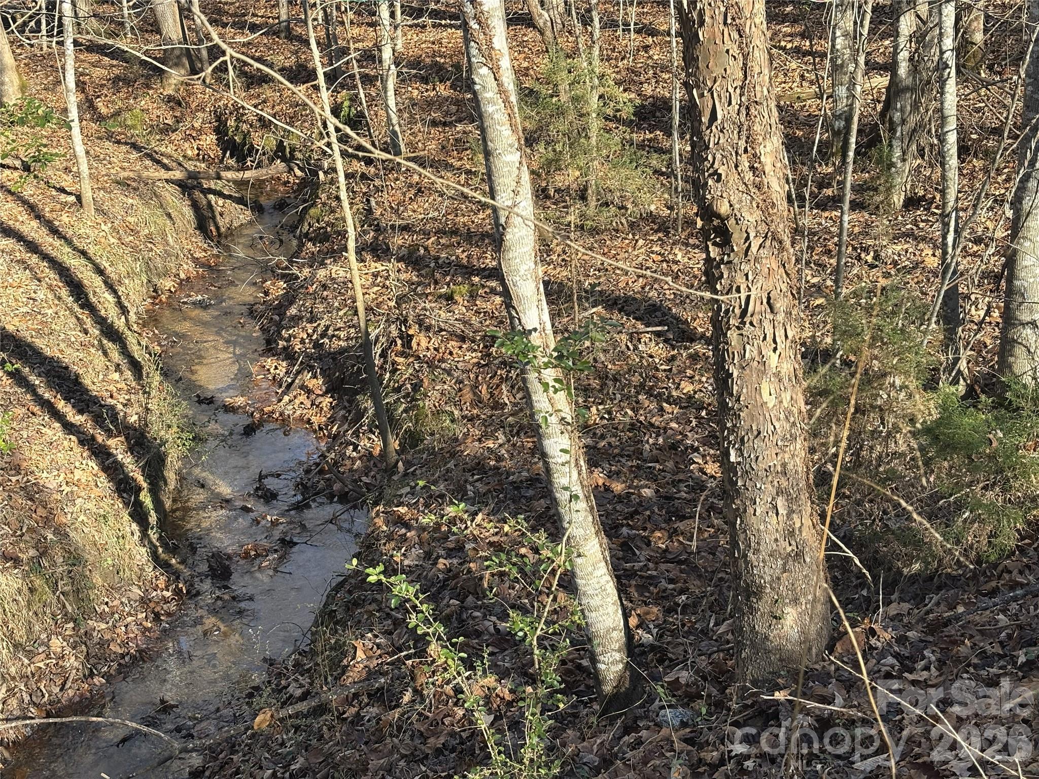 Clearwater Creek - Residential