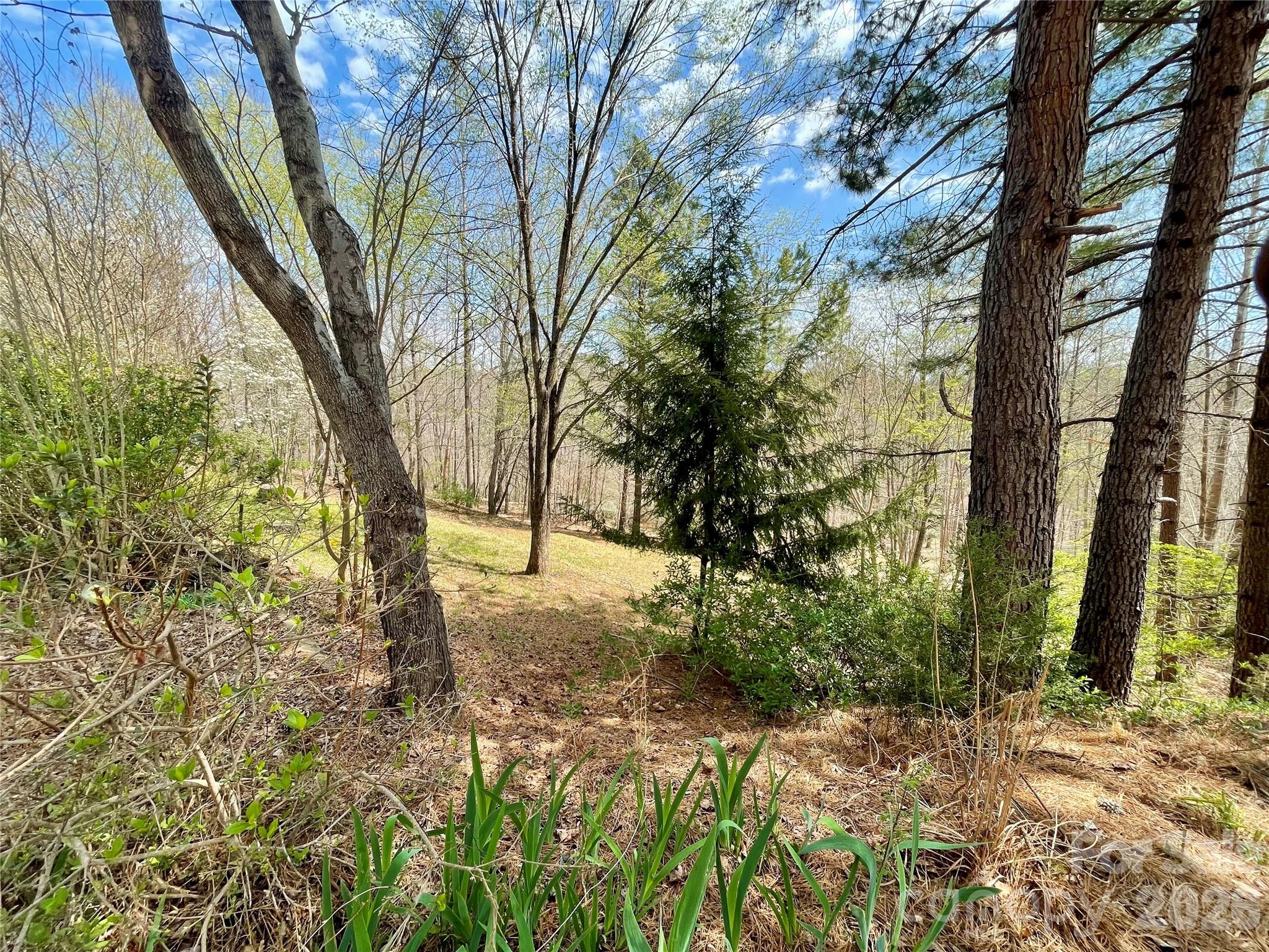 Clearwater Creek - Residential