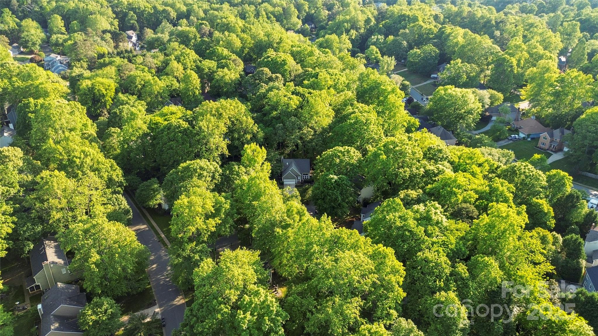Cedarfield - Residential