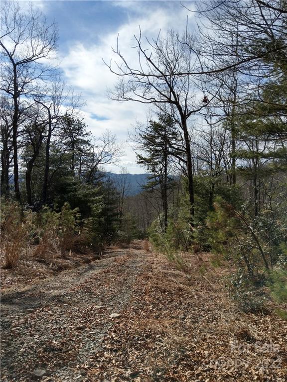 000 Emma Bri Lane F1