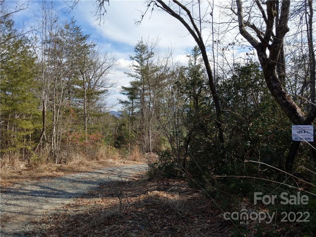 000 Emma Bri Lane F1