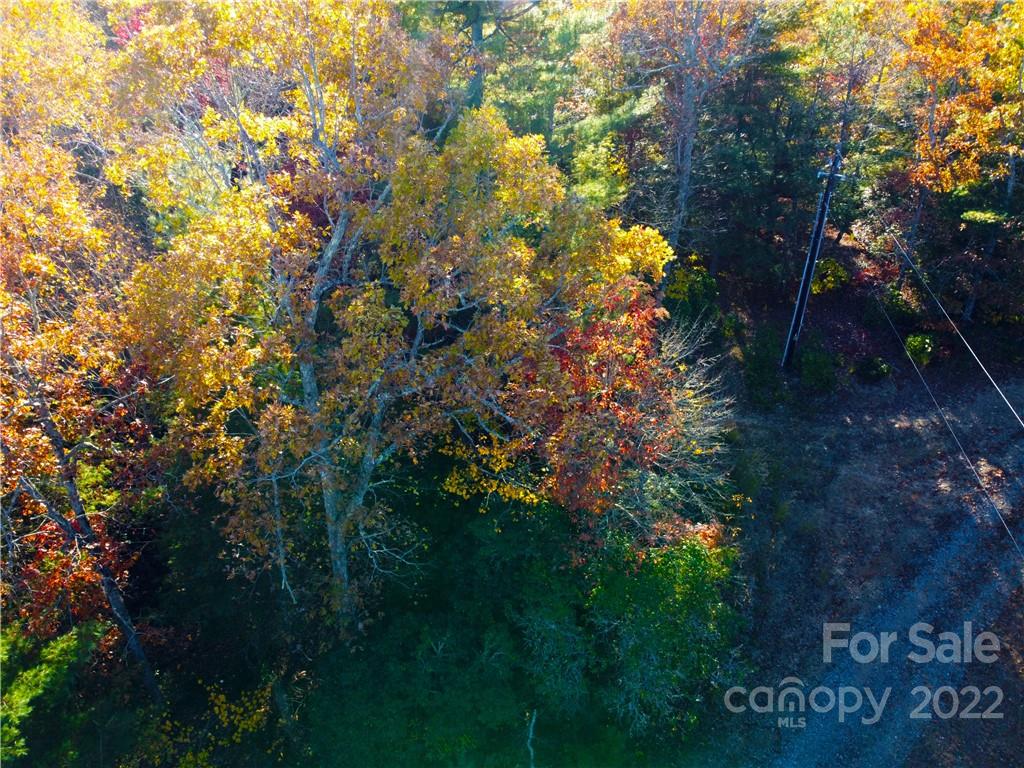 Dogwood Mountain Estates - Land